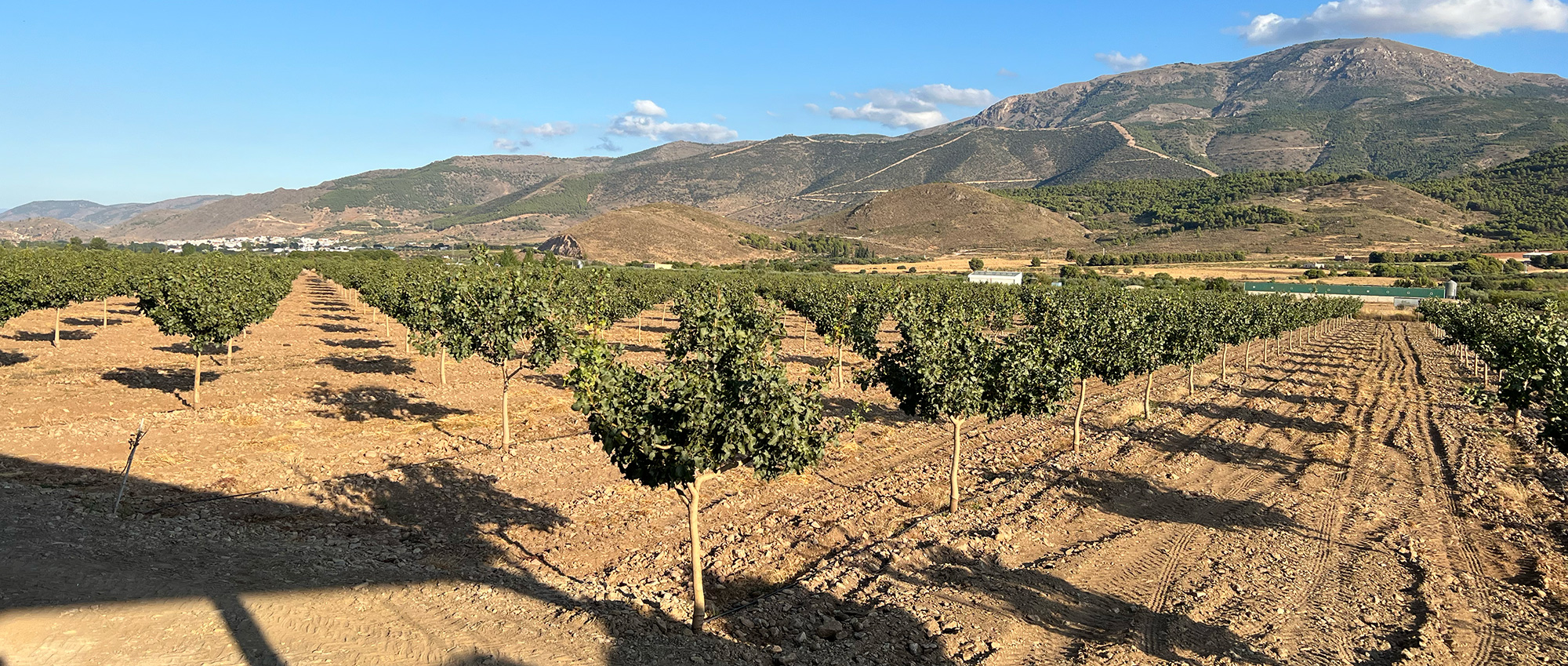 vista de la Finca La Fabriquilla