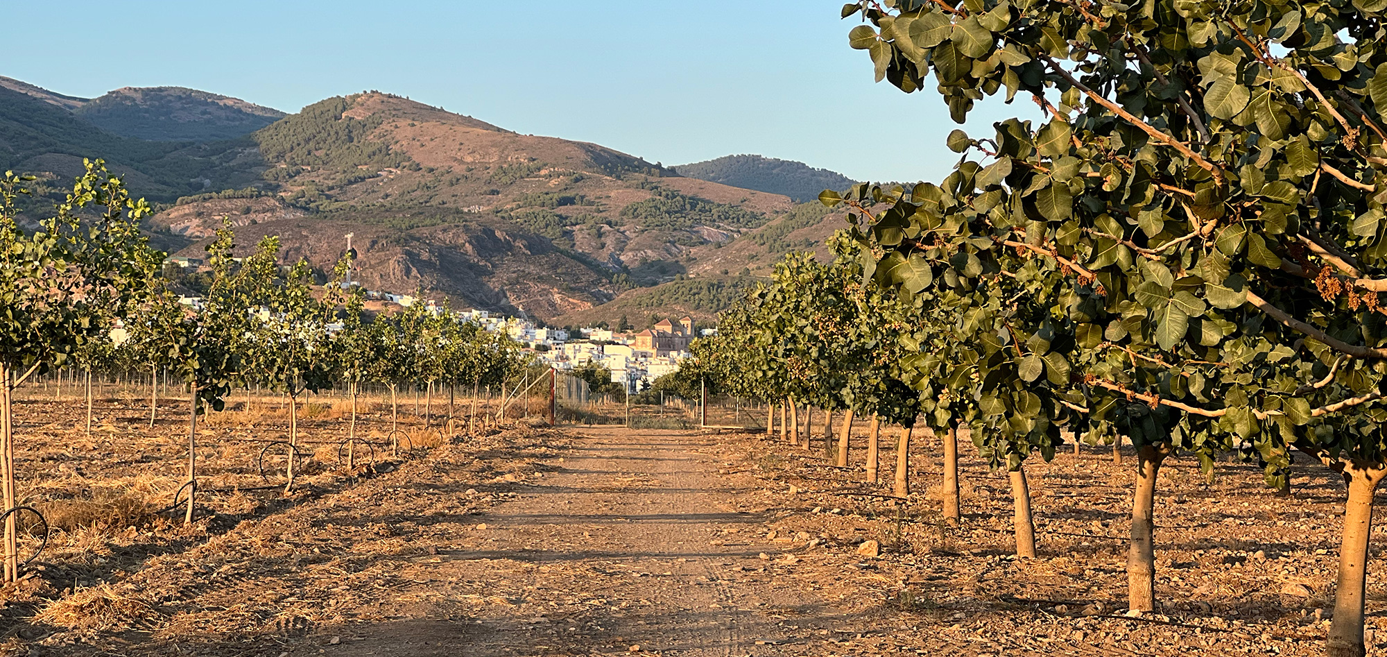 finca la fabriquilla